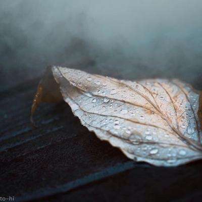 manbetx官网在线登录